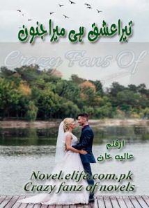 Tera Ishq Hi Mera Junoon Hai