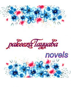 Pakeeza Tayyaba