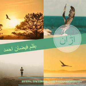 Faizan Ahmed