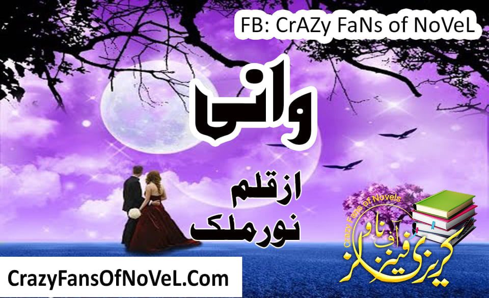 Wani by Noor Malik – cover