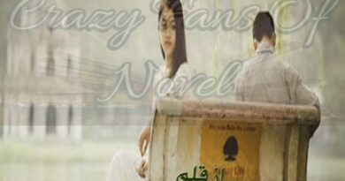 Be-Rukhi By Dr Hadiqa Hassan Complete Novel