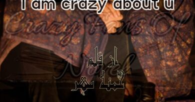 I am Crazy About u by Hamna Mehar