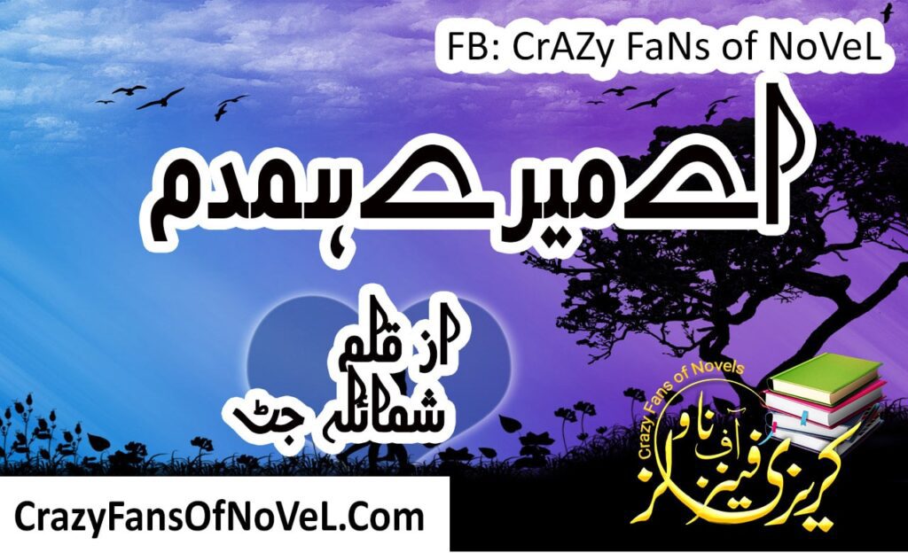 Ay Mery Hamdam by Shumaila Jutt – cover