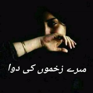 ‎Areej Hashmi‎