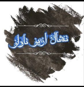 Nishaal Aziz Novels