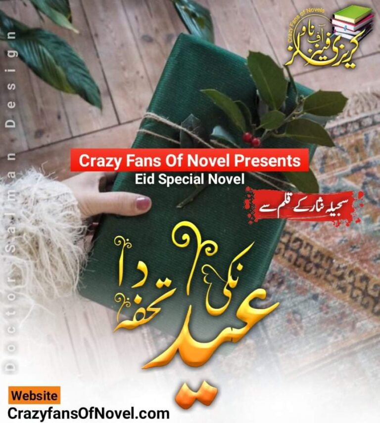 Nikki Eid Da Tohfa by Sajeela Nisaar – cover