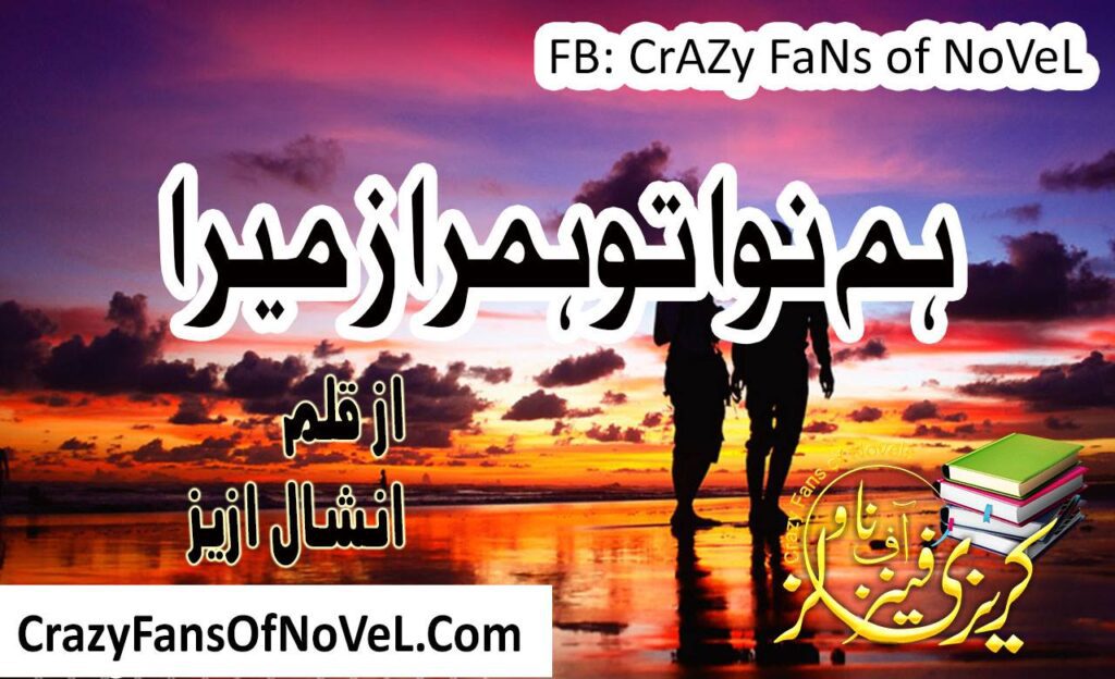 Hum Nawa Tu Hum Raaz Mera by Nishaal Aziz – cover
