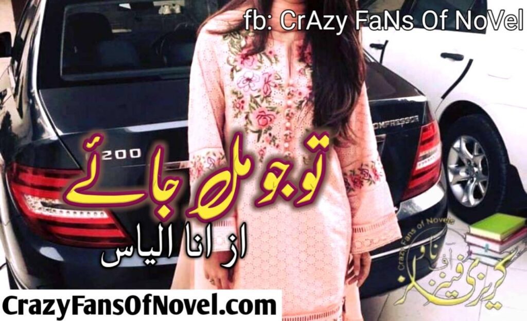 Tu Jo Mil Jay by Ana Ilyas – cover