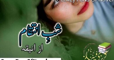 Shab e Inteqam By Novelist Aniqa Complete Novel