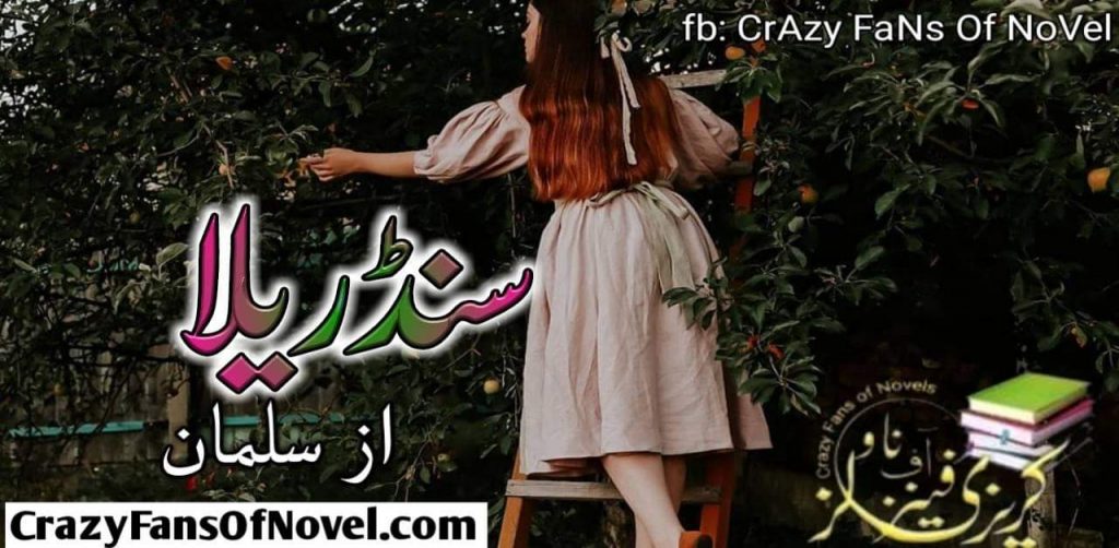 Cinderella by Salman – cover