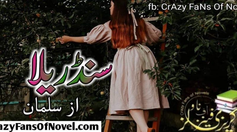 Cinderella By Salman (Compleat Novel)