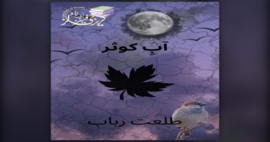 Ab E Kousar by Talat Rabab – cover