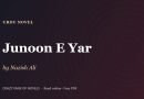Junoon E Yar by Nazish Ali – cover
