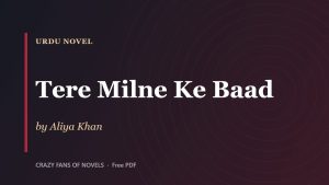 Tere Milne Ke Baad by Aliya Khan