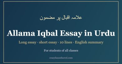 Allama Iqbal essay in Urdu for students