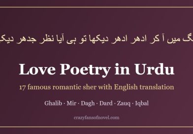 Love poetry in Urdu with English translation: famous romantic sher