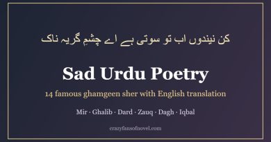 Sad Urdu poetry with English translation: famous ghamgeen sher
