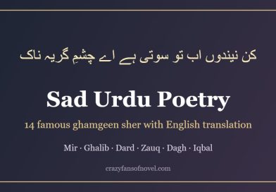 Sad Urdu poetry with English translation: famous ghamgeen sher