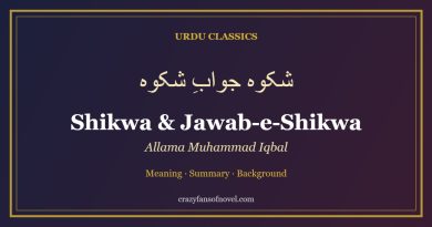 Shikwa and Jawab-e-Shikwa by Allama Iqbal – guide cover