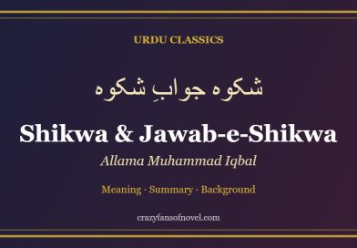 Shikwa and Jawab-e-Shikwa by Allama Iqbal – guide cover